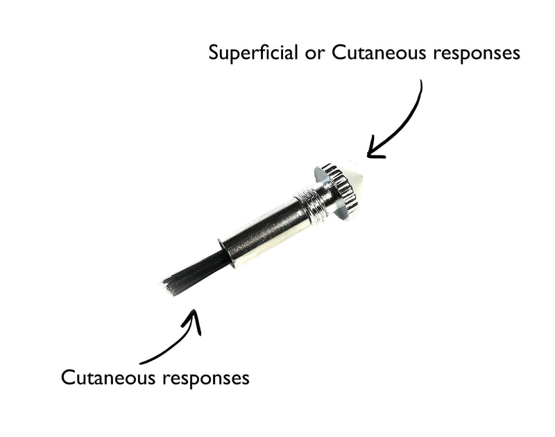 [Australia - AusPower] - EMI PLATINUM SERIES Tromner Neurological Deluxe Reflex Hammer 