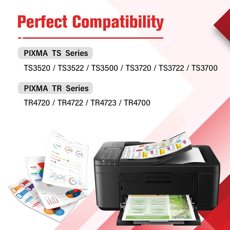 275 and 276 TS3722 TR4720 Ink Cartridges Replacement for Canon Printer 275XL 276XL Combo Pack PG-275 CL-276 XL for Canon PIXMA TR4700 TR4722 TS3522 TS3522 TS3500 TS3520 TS3720 (2 Pack, Black Color)