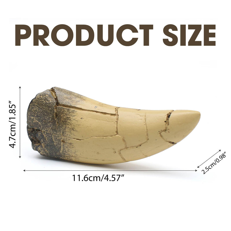 [Australia - AusPower] - T rex Tooth, Dinosaur Teeth, Resin Tyrannosaurus Toothy Direct Cast Replica, Mosasaurus Spinosaurus Trex Fossils Model for Necklace, Fossilized Various Prehistoric Dinosaurs High-Fidelity Replicas 