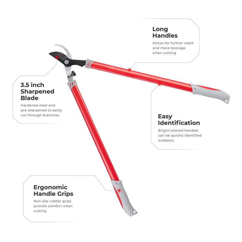 INTERTOOL Bypass Loppers 29" Tree Branch Cutter - Trimmer Pruner for Shrubs & Branches with 2 inch Cutting Capacity - Gardening, Landscaping, Shaping - Long Ergonomic Handles FT-1107