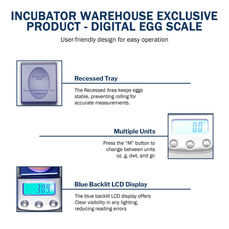 Digital Scale with Blue Backlit LCD Display - Accurate Humidity Measurement