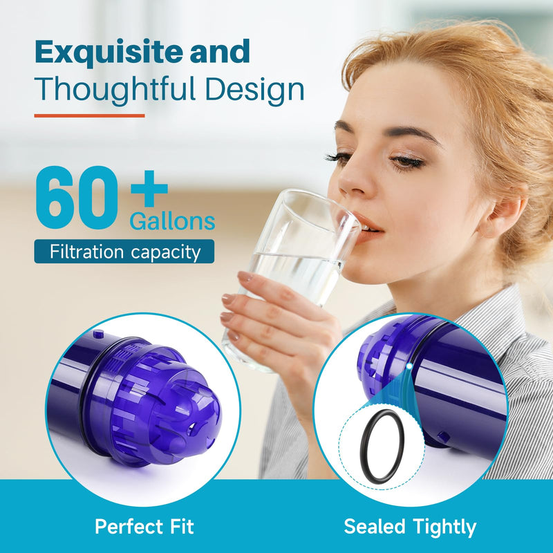 ICEPURE PPF001 Pitcher Water Filter Replacement for Pur CRF950Z, PPF951K, PPT700W, CR-1100C, DS-1800Z, CR-6000C, PPT711W, PPT711, PPT710W, PPT111W, PPT111R Pitchers and Dispensers, 6PACK 6 Count (Pack of 1)
