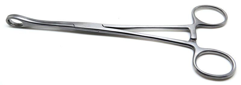 Foerster Sponge Forceps 12" Straight Serrated Surgical Holding Veterinary Instruments