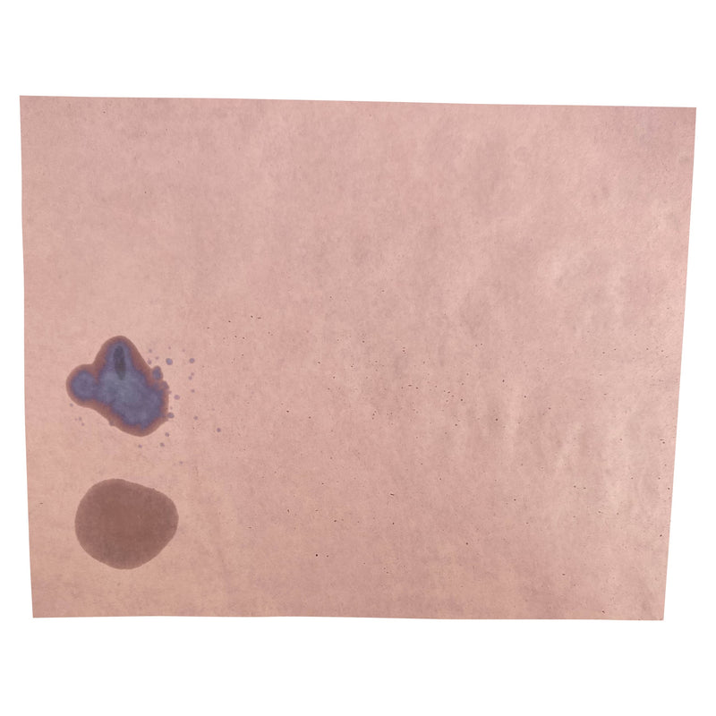 [Australia - AusPower] - Red Litmus Test Paper 8x10 Inch Sheet [Pack of 24] 