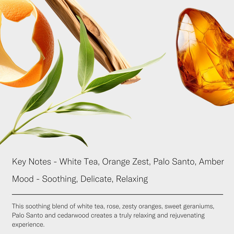 AromaTech White Tea Aroma Essential Oil Blend: Luxury Hotel Inspired Aromatherapy with White Tea, Orange & Palo Santo for Ultrasonic Diffusers & Nebulizers (10 mL) 0.33 Fl Oz (Pack of 1)