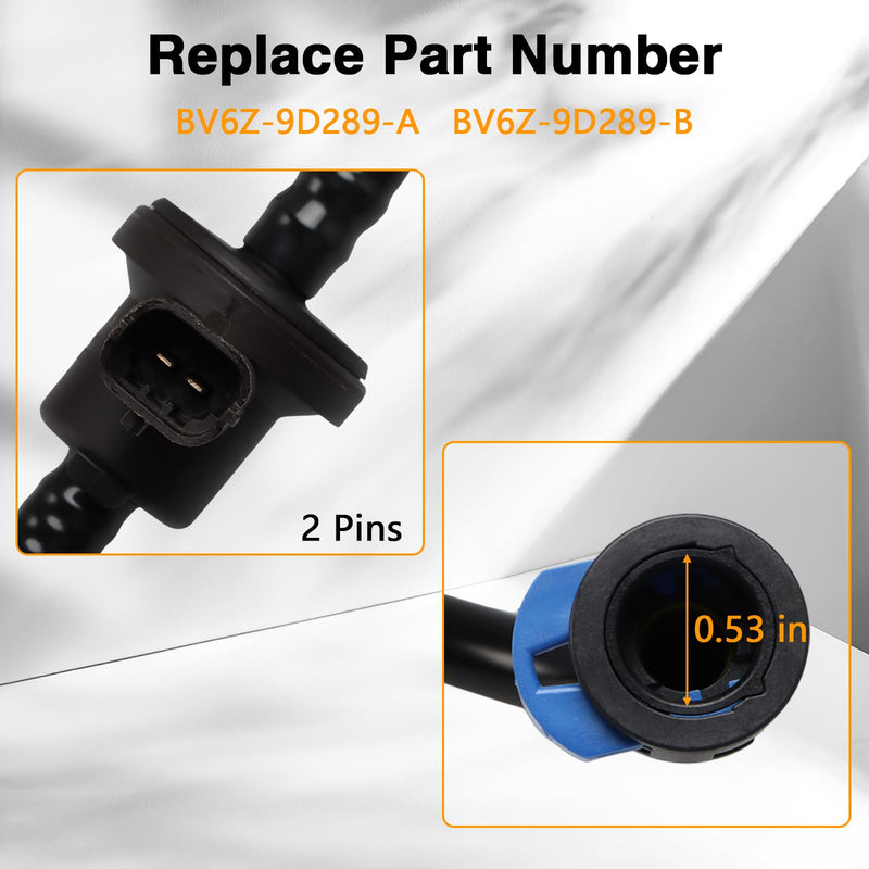 FUSCH Vapor Canister Purge Valve Compatible with Ford Focus 2012-2018 Replace#: BV6Z-9D289-B BV6Z-9D289-A 911-777