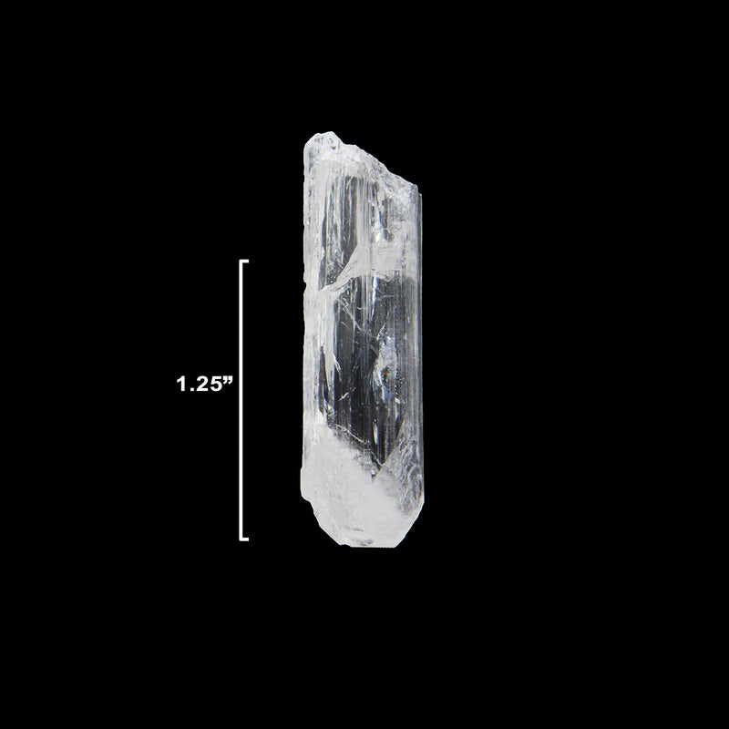 Starborn Natural Danburite Crystals Loose Danburite L