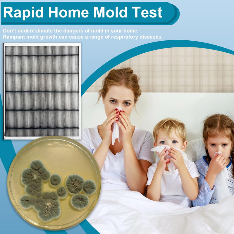 Mold Test Kit for Home- DIY Mold Detector for Home, 12 At Home Mold Air Test Kits - Test HVAC、 Home Surfaces、Indoor Air Quality, Easy Black Mold Testing Kit Includes Detailed Mold Identification Guide 12 pack