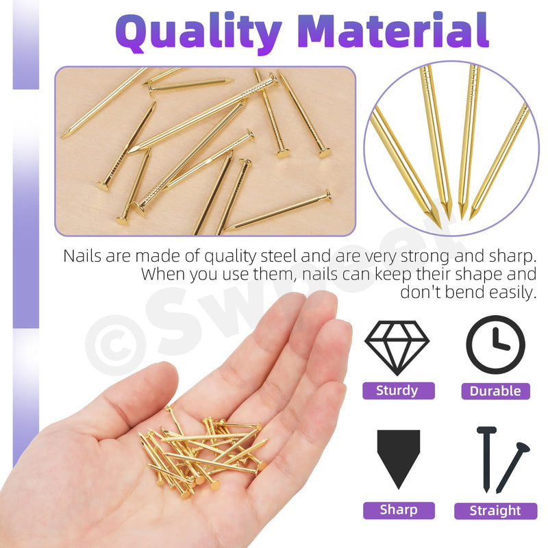 [Australia - AusPower] - Swpeet 500Pcs 4 Sizes Hardware Nails Assortment Kit, Gold Galvanized Nails, Small Nails, Pin Nails, Finishing Nails, Nails for Hanging, Wall Nails for Hanging Pictures Golden 