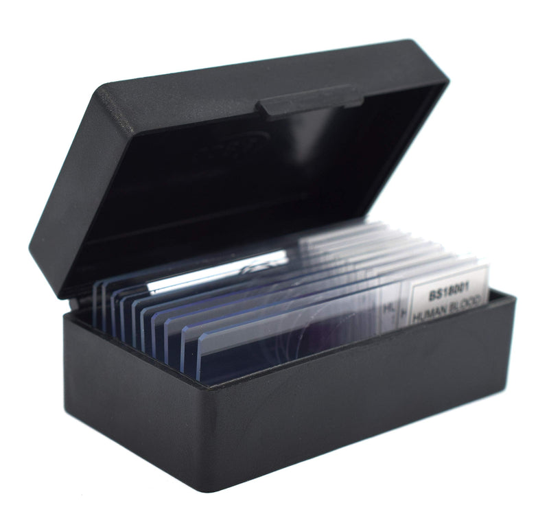 [Australia - AusPower] - EISCO 10PK Mixed Diatoms, Wholemount - Prepared Microscope Slides - Classroom Pack, 10 Slides in Storage Case - Biology & Microscopy Pack of 10 