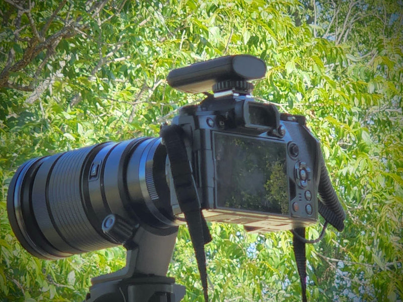 PROfezzion 164ft Remote Shutter Release Wireless for Select Sony Cameras For Sony USB-C Port
