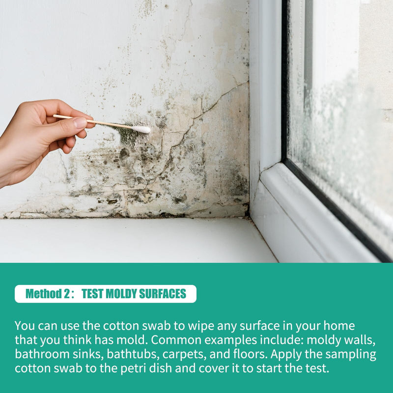 Comprehensive DIY Mold Test Kits for Home - Multiple Detection Tests for Surfaces, HVAC Systems, & Indoor Air Quality - Includes Detailed Mold - Fast, Reliable, & Safe for Both Indoor & Outdoor Use