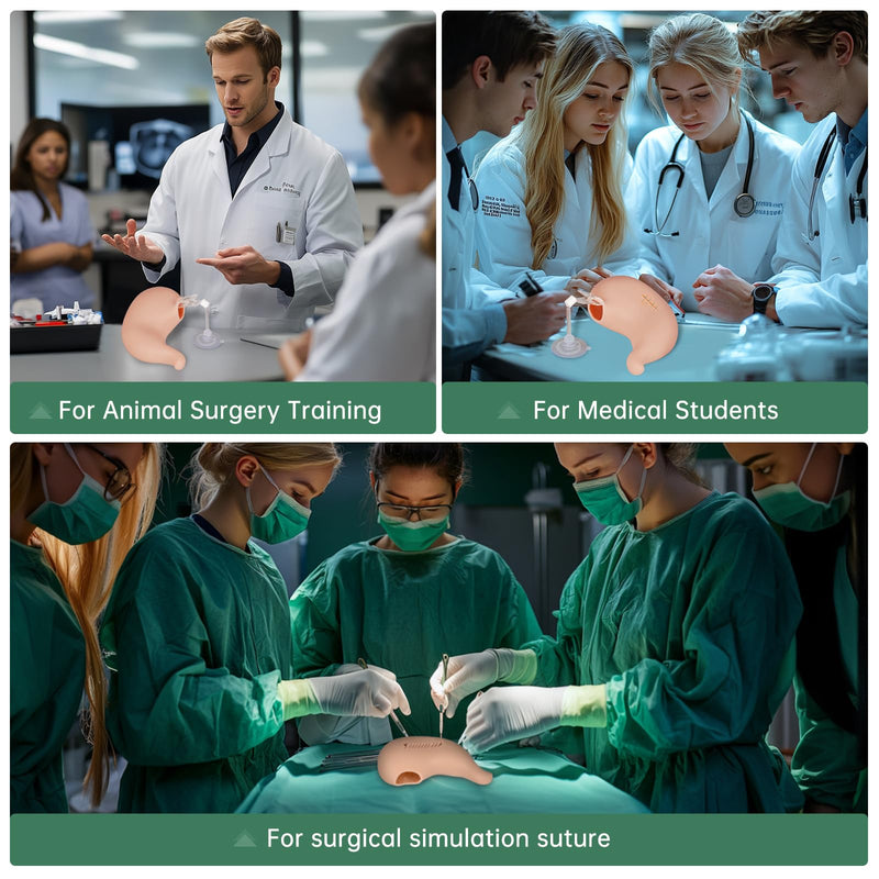 [Australia - AusPower] - Hollow Stomach Suturing Model - Hollow Organ Suture Practice Kit, Medical Nursing Student Supplies, Suture kit Perfect for Medical Students & Vet Training 