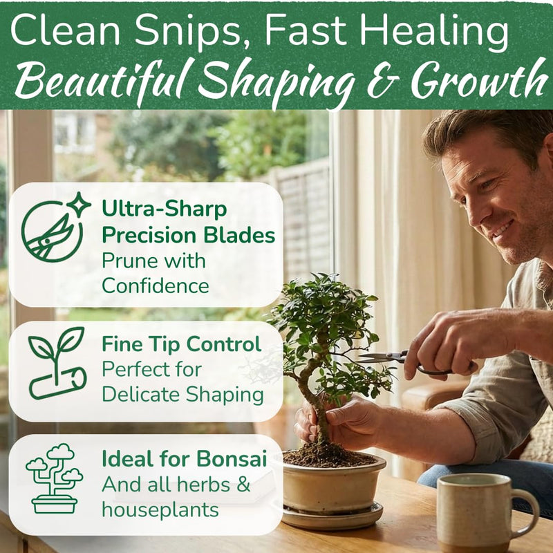 Premium Houseplant Scissors | 100% Stainless Steel, Ultra-Precise Garden Clippers for Propagation & Trimming | Rust-Resistant, Easy Clean Pruning Shears | Indoor & Outdoor | Comfortable & Ambidextrous