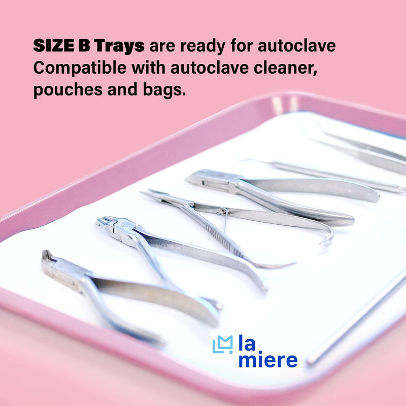 [Australia - AusPower] - 1Pcs Autoclavable Dental Procedure Tray Lockable Set up Flat Trays Size B (Ritter),Plastic Instrument B-Lok Flat Trays, 13.25 x 9.75X 0.875 Inches (1, Candy Pink) 1 