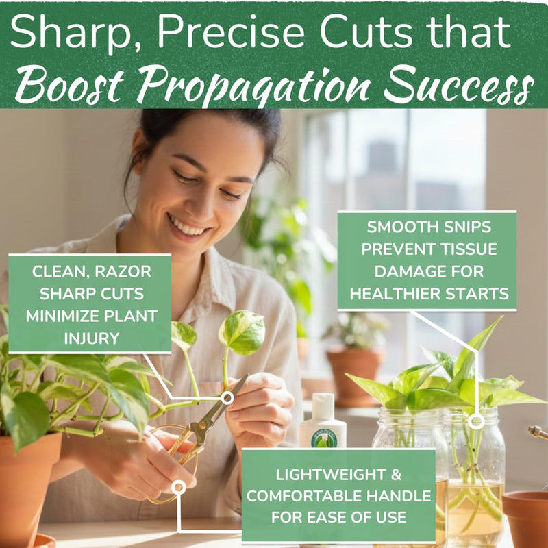 Premium Houseplant Scissors | 100% Stainless Steel, Ultra-Precise Garden Clippers for Propagation & Trimming | Rust-Resistant, Easy Clean Pruning Shears | Indoor & Outdoor | Comfortable & Ambidextrous