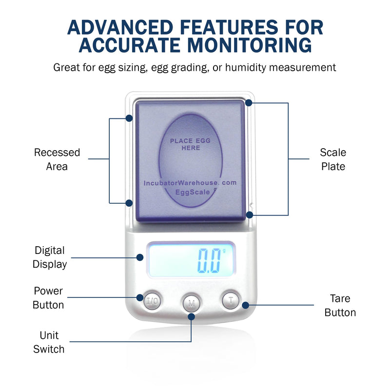 Digital Scale with Blue Backlit LCD Display - Accurate Humidity Measurement