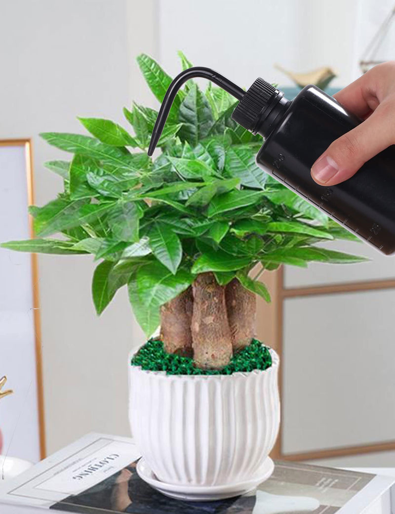 [Australia - AusPower] - 2Pcs Tattoo Wash Bottle 250ml | 8oz Squirt Succulent Watering Safety Rinse Bottle Watering Tools for Medical Cleaning Washing Bottle Black 