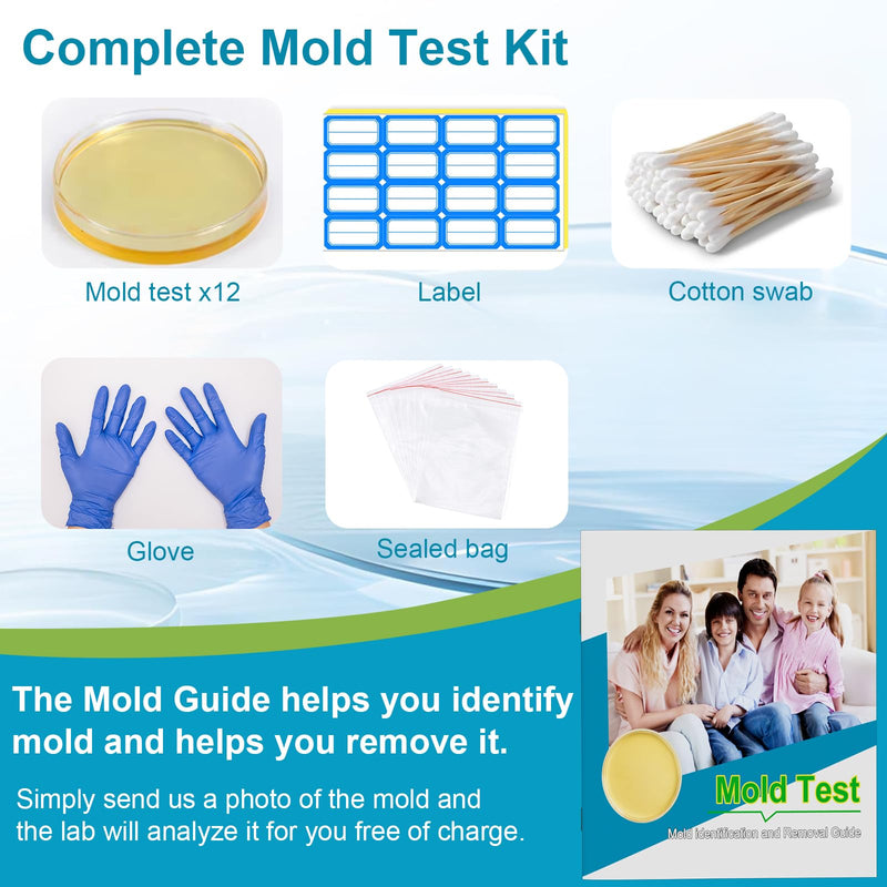Mold Test Kit for Home- DIY Mold Detector for Home, 12 At Home Mold Air Test Kits - Test HVAC、 Home Surfaces、Indoor Air Quality, Easy Black Mold Testing Kit Includes Detailed Mold Identification Guide 12 pack