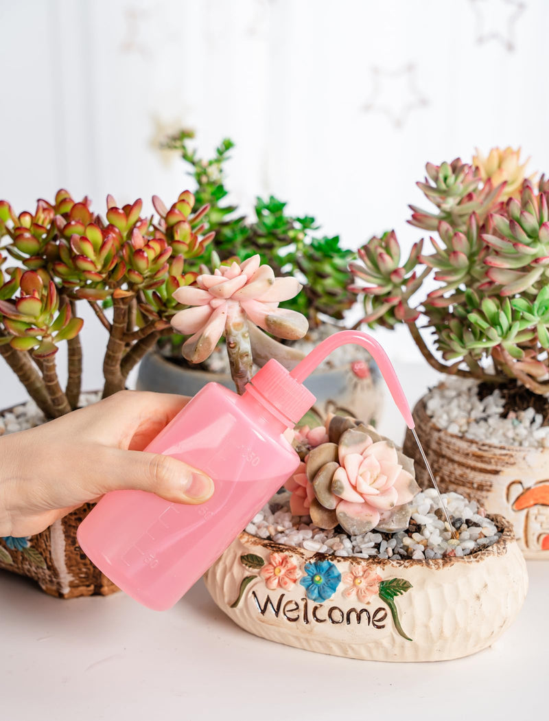 [Australia - AusPower] - Tattoo Wash Bottle- Melphoe 2Pcs 250ml Water Squirt Bottle Succulent Watering, Safety Rinse Bottle Watering Tools, Tattoo Supplies, Irrigation Squeeze Sprinkling Can Wash Plant Bottle (Pink) Pink 2*250ml 