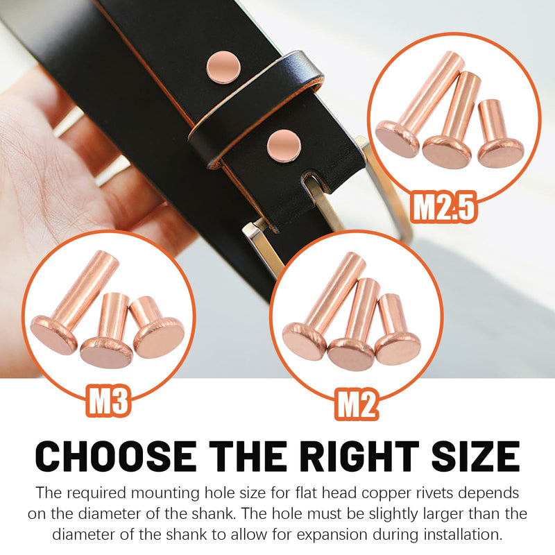 [Australia - AusPower] - 270Pcs Flat Head Copper Solid Rivets, M2x4/6/8, M2.5x5/8/10, M3x4/6/10 Solid Copper Rivets Fasteners for Electrical Applications Copper Finish Copper Tone 