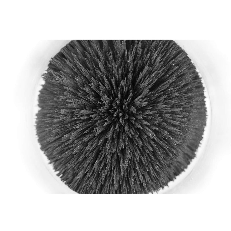 [Australia - AusPower] - DAILYLIFE Iron Powder Iron Filings for Science Experiments, 1 Pound (16 Ounces) Magnetic Sand with 4 Magnets for Magnetic Field School Project, Metal Shavings Iron Oxide Powder Children Toys 