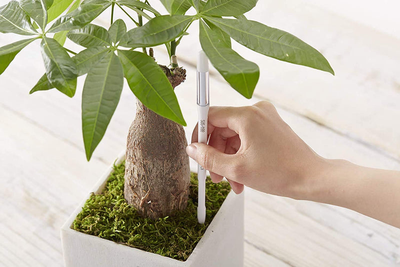 Sustee Aquameter, Set of 5, Plant Soil Moisture Sensor (Green, Large) youth large / 11-13 Green