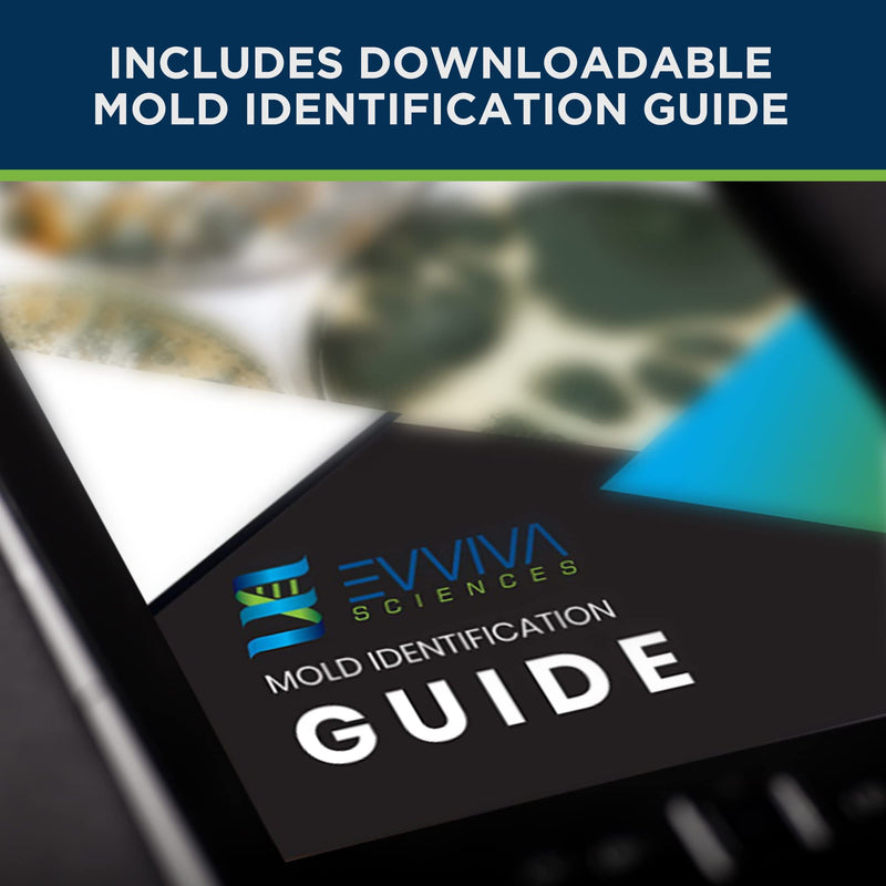 [Australia - AusPower] - Evviva Sciences Mold Test Kit for Home - 10 Simple Detection Tests w/Optional Lab Analysis, Test HVAC System, Home Surfaces, & Indoor Air Quality Testing Kit - Downloadable Identification Guide 
