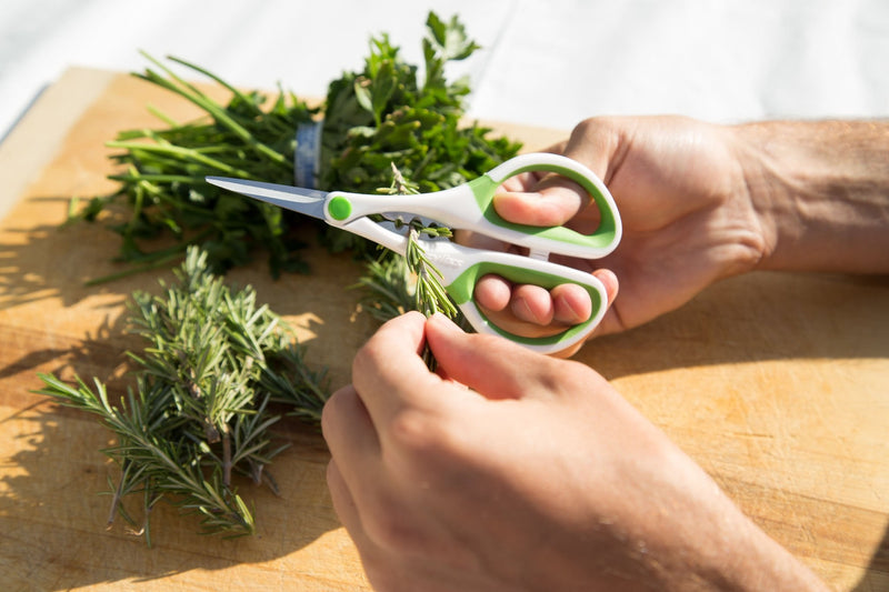 [Australia - AusPower] - Zyliss Heavy Duty Home & Kitchen Herb Shears Scissors with Innovative Stem Stripper, Versatile Kitchen Shears for Trimming Weeds, Flower Buds & More - White/Green - 8.5 x 4.2 x 0.4 inches Herb Snippers 