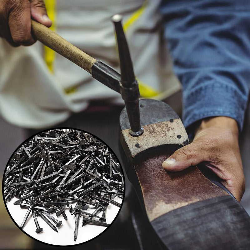 [Australia - AusPower] - 1000PCS 13mm Black Iron Shoe Nails Tacks - Rust Resistant Boot Studs for Shoe & Boot Repair, Leather Craft, DIY Upholstery, Woodworking - Mini Brad Tacks for Soles, Heels, Furniture(0.5 Inch) 