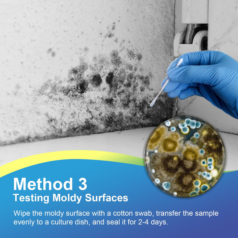 Mold Test Kit for Home- DIY Mold Detector for Home, 12 At Home Mold Air Test Kits - Test HVAC、 Home Surfaces、Indoor Air Quality, Easy Black Mold Testing Kit Includes Detailed Mold Identification Guide 12 pack