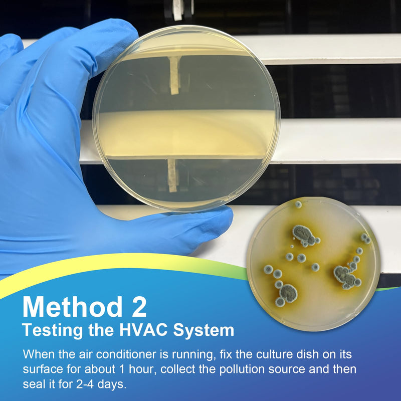 Mold Test Kit for Home- DIY Mold Detector for Home, 12 At Home Mold Air Test Kits - Test HVAC、 Home Surfaces、Indoor Air Quality, Easy Black Mold Testing Kit Includes Detailed Mold Identification Guide 12 pack