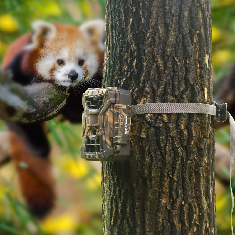 [Australia - AusPower] - Wildlife Trail Camera Mounting Straps, Nylon Fiber Straps, Deer Camera Tree Belts Kit for Hunting Game Cameras Accessory Dark Olive 4pcs 