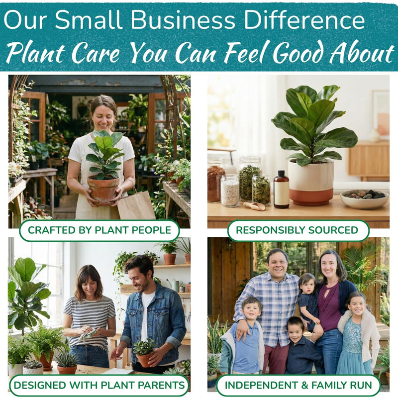 [Australia - AusPower] - Houseplant Resource Center Fiddle Leaf Fig 3-in-1 Soil Moisture Meter for Plants – Best Indoor Plant Water Meter for Potted Houseplants - Light & Moisture Sensor Probe for Optimal Growth 