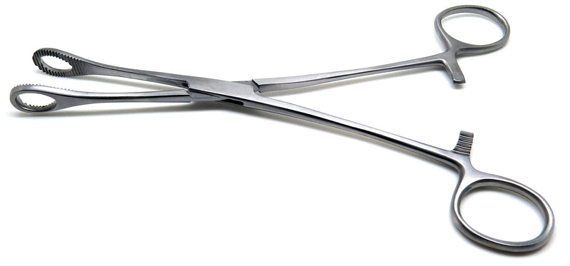 Foerster Sponge Forceps 12" Straight Serrated Surgical Holding Veterinary Instruments