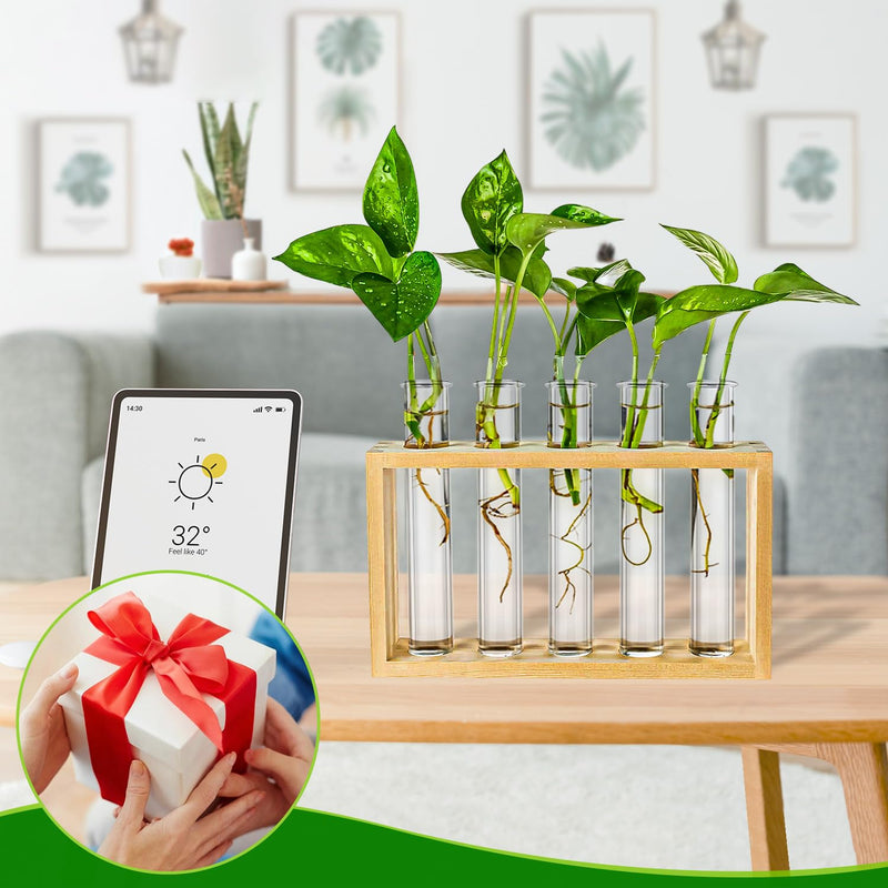 32 pcs Clear Plant Propagation Tubes 20ml Plastic Test Tubes for Scientific Experiments Sample Testing, Round Bottom Test Tube for Home Office Desktop Decoration Bead Party Candy Storage 32