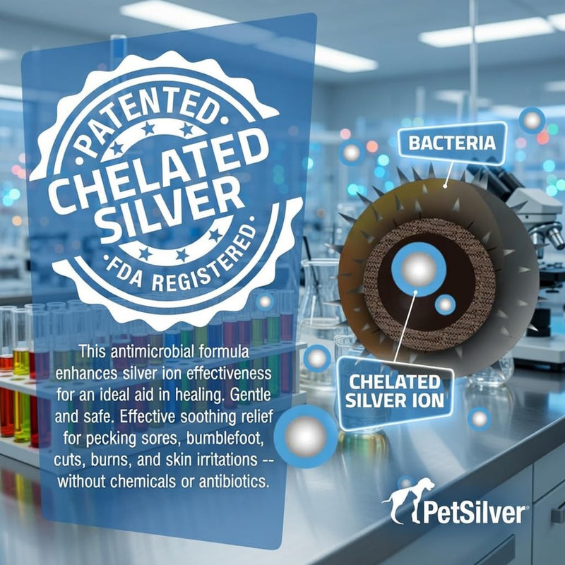 [Australia - AusPower] - PetSilver Immune Support, Natural Nebulizer Solution, Promotes Respiratory Health in Cats & Dogs, Allergies, Sinus & Cough Treatment, Easy to Use, Patented Chelated Silver, Made in the USA, 16 fl oz 