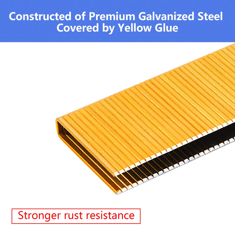 [Australia - AusPower] - 18 Gauge 1/4" Narrow Crown Staples, 1-Inch, Galvanized Project Pack for 18 GA Pneumatic or Electric Stapler or Staple Gun (1000) 1000 