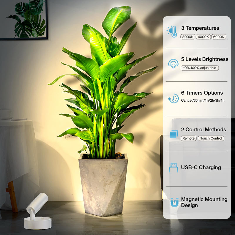 [Australia - AusPower] - Olafus LED Wireless Spotlight Indoor, Rechargeable Battery Uplighting Indoor with Remote & Timer, 3CCT Picture Lights for Wall, Mini Art Accent Light for Plants, Artwork, Painting, 2 Pack White 