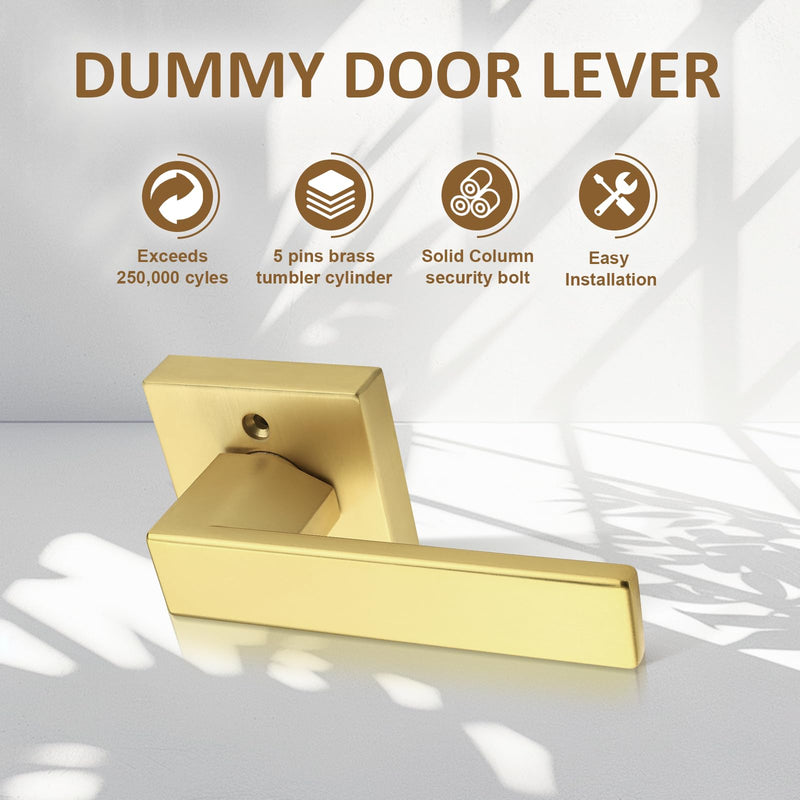 Probrico 2 Pack Gold Dummy Door Handles,Modern Closet Door Knobs,Heavy Duty Interior Non-Turning Handle Reversible for Right & Left Handed Side