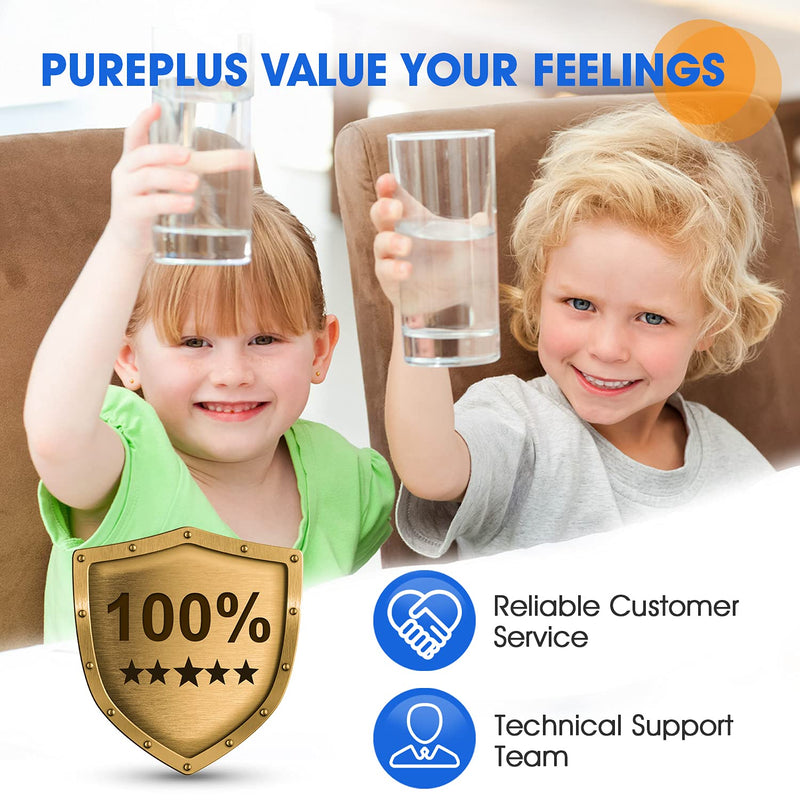 [Australia - AusPower] - PUREPLUS 10" x 4.5" Whole House Pleated Sediment Filter for Well Water, Replacement Cartridge for GE FXHSC, Culligan R50-BBSA, Pentek R50-BB, DuPont WFHDC3001, American Plumber W50PEHD, GXWH40L, 2Pack 2 Count (Pack of 1) 