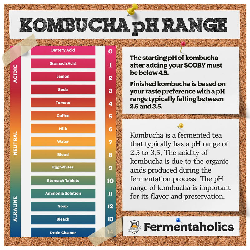 Kombucha pH Test Strips - pH Range 0-6 | 100 Test Sticks | Instant Read | Food Service, Brewing and Fermentation Test Strips pH Test Strip Sticks