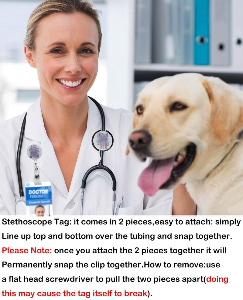 [Australia - AusPower] - Stethoscope ID Tag Stethoscope Label Charm, Name tag, Medic, Nurse, Doctor, Vet, EMT Come with 1 Retaractable Badge Reel (Heart) Heart 
