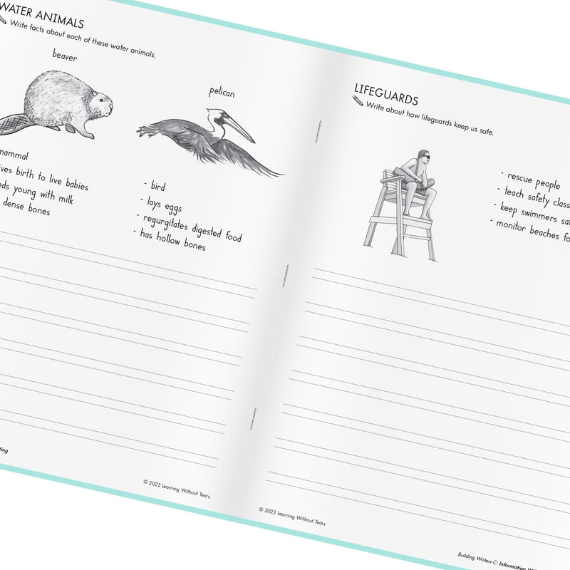 [Australia - AusPower] - Learning Without Tears Building Writers Student Edition, Age 7+, 2nd Grade+, Handwriting Without Tears, Narrative, Information, Opinion, Fluency, School & Home, Tutor, Sensory & Motor Skills, Sensory 