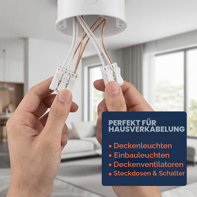 Lustre Terminals Set of 120 | Pack of 120 pluggable terminals CH2 (100) and CH3 (20) for cable connections.