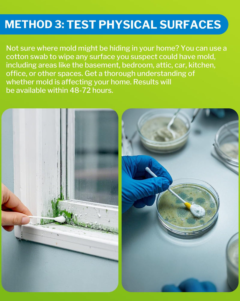 [Australia - AusPower] - Mold Test Kit for Home - 6 Detection Tests,DIY Test Kit for Indoor Air and Household Surface Detection, Includes Detailed Mold Identification Guide and Free Lab Analysis 