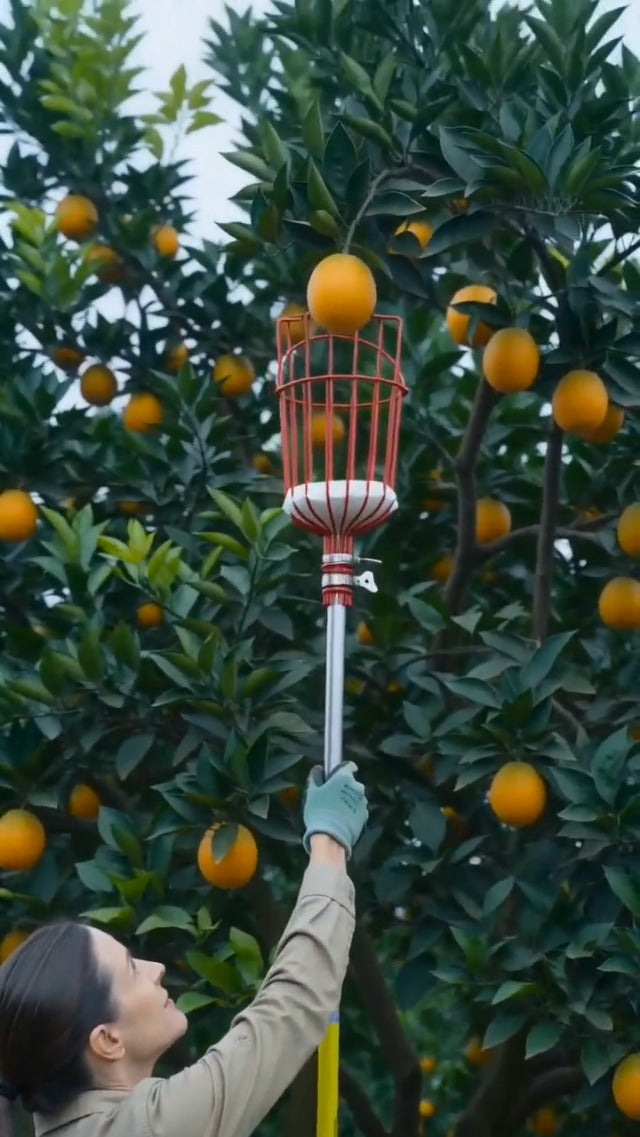 GLOGLOW red detachable fruit picker basket for 3cm diameter picker pole