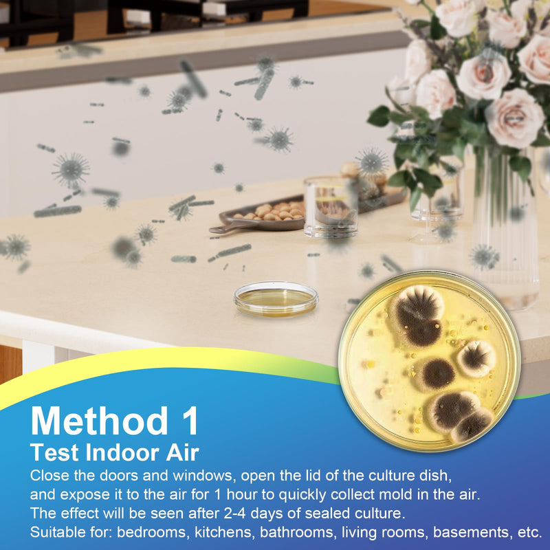 Mold Test Kit for Home- DIY Mold Detector for Home, 6 at Home Mold Air Test Kits - Test HVAC、 Home Surfaces、Indoor Air Quality, Easy Black Mold Testing Kit Includes Detailed Mold Identification Guide 6 pack
