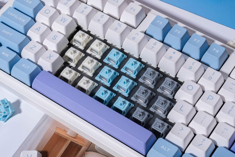 [Australia - AusPower] - GATERON Smoothie Keyboard Switches, Linear RGB LED 5 Pin White 22mm Dual-Stage Spring Factory Pre-lubed 40gf Full POM Key Switches for MX Mechanical Keyboard(105PCS) 105PCS 