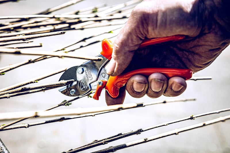 Original LÖWE 5 Professional Anvil Pruning Shears 5.107 with Stainless and Non-Stick Coated Steel Blade - Handy and Lightweight Pruning Shears Ideal for Cutting Apple Trees, Pear Trees & Orchard Work Inward curved handle